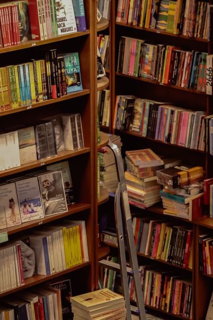 متجر كتب إلكتروني على سلة — رفوف كتب وتجربة قراءة